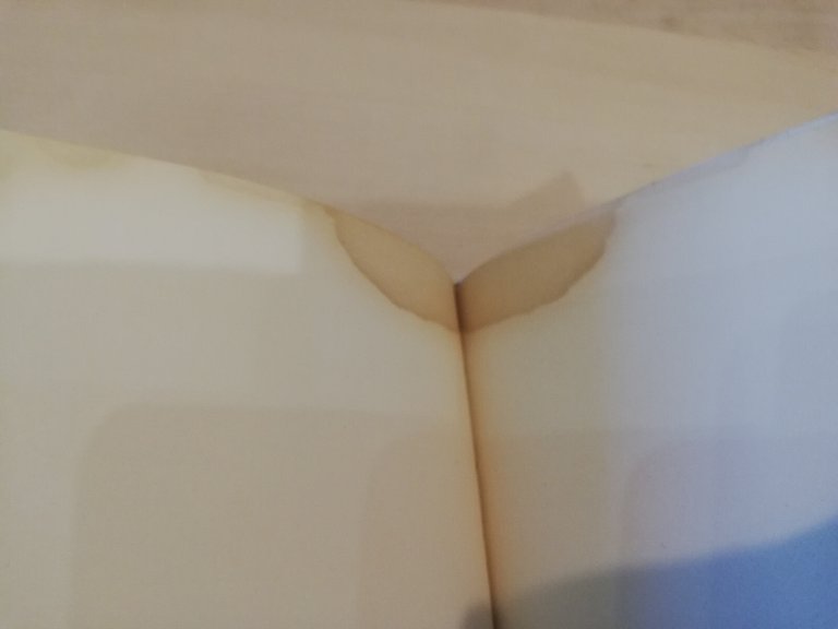 Unità dell'intelletto, Tommaso d'Aquino, Testo a fronte, Bompiani, 2000