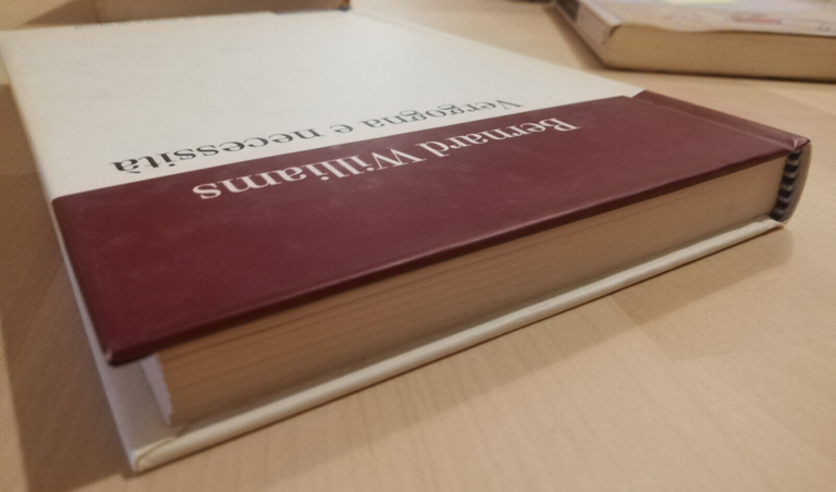 Vergogna e necessità, Bernard Williams, 2007, il Mulino