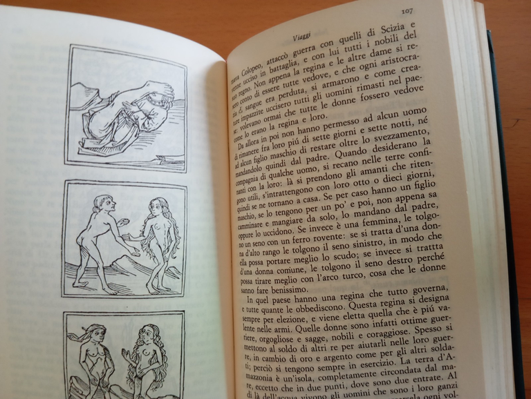 Viaggi ovvero trattato della cose, John Mandeville, Il Saggiatore, 1982 | Immagine Gallery 11
