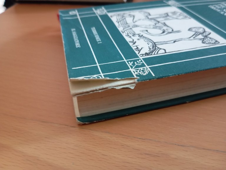 Viaggi ovvero trattato della cose, John Mandeville, Il Saggiatore, 1982 | Immagine Gallery 5