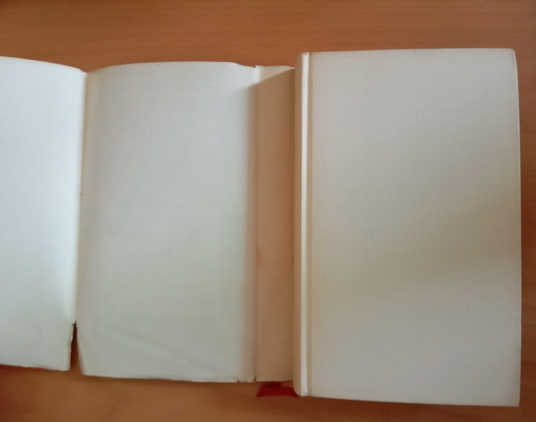 Viaggi ovvero trattato della cose, John Mandeville, Il Saggiatore, 1982 | Immagine Gallery 7