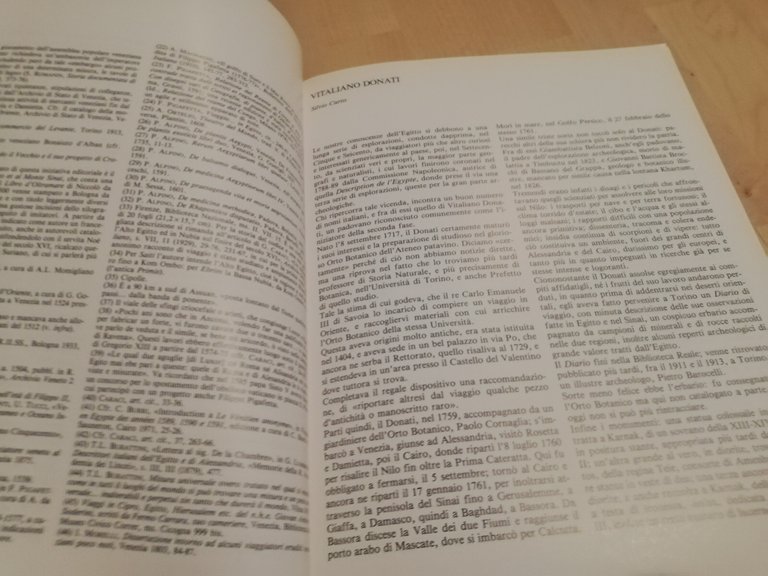 Viaggiatori veneti alla scoperta dell'Egitto, 1985, Arsenale | Immagine Gallery 24