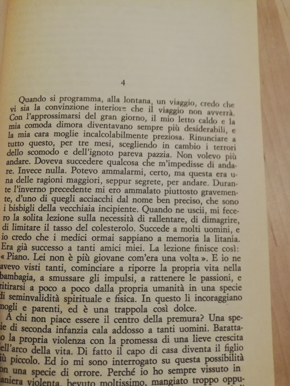 Viaggio con Charley, John Steinbeck, 1981, Rizzoli