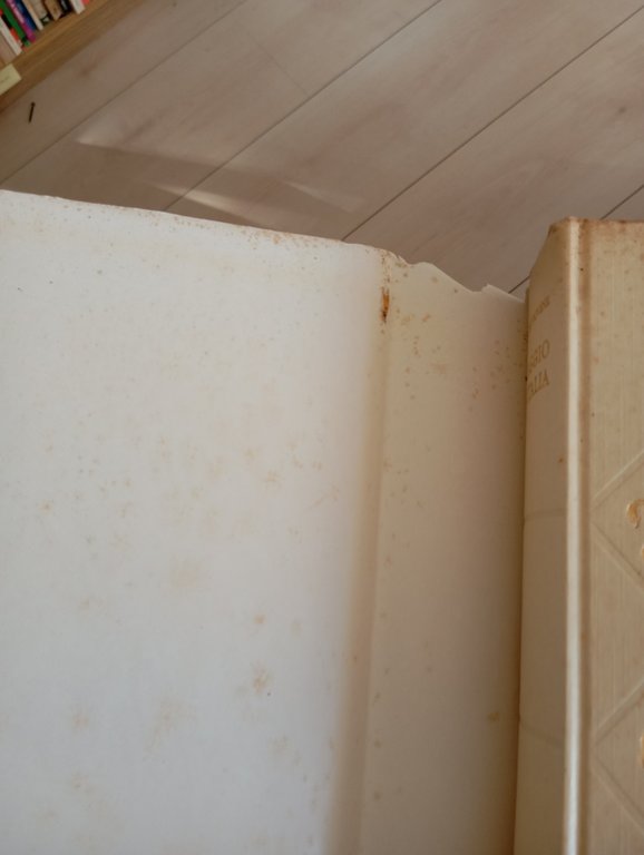 Viaggio in Italia, Guido Piovene, Mondadori, 1959