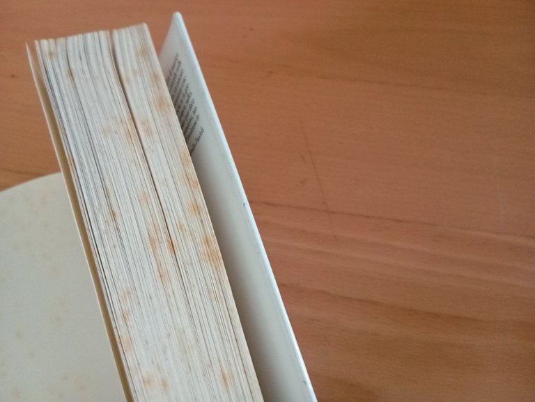 Viaggio negli Stati Uniti, Alexis De Tocqueville, Einaudi NUE, 1990 | Immagine Gallery 16