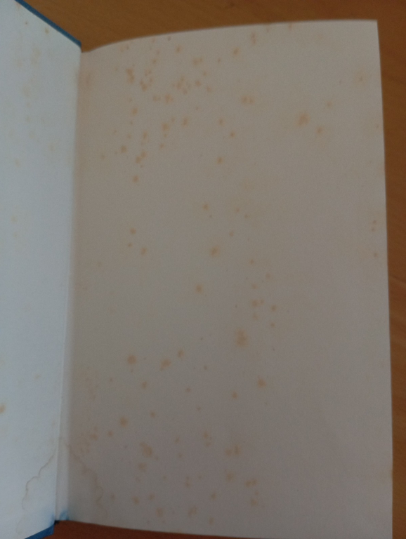 Viaggio negli Stati Uniti, Alexis De Tocqueville, Einaudi NUE, 1990 | Immagine Gallery 9