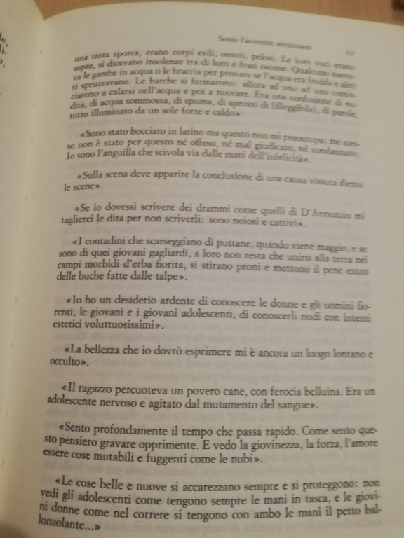 Vita di Giovanni Comisso, Nico Naldini, 1985, Einaudi