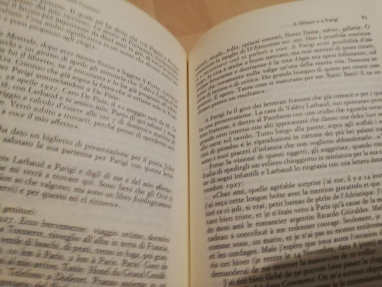Vita di Giovanni Comisso, Nico Naldini, 1985, Einaudi