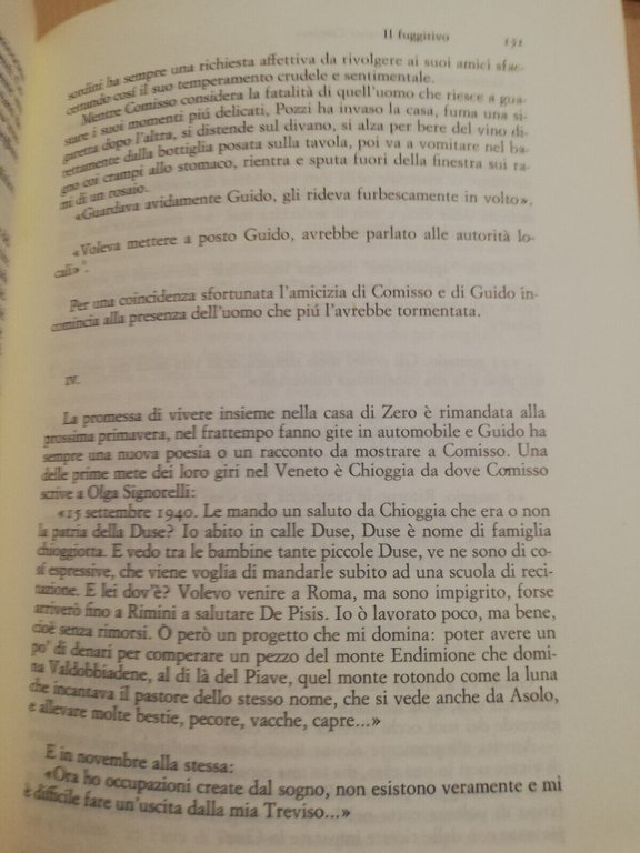 Vita di Giovanni Comisso, Nico Naldini, 1985, Einaudi