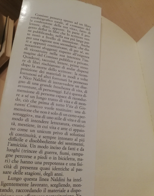 Vita di Giovanni Comisso, Nico Naldini, 1985, Einaudi