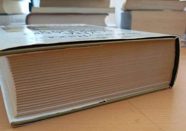 Vita di Girolamo Savonarola, Roberto Ridolfi, Sansoni 1981 | Immagine Gallery 3