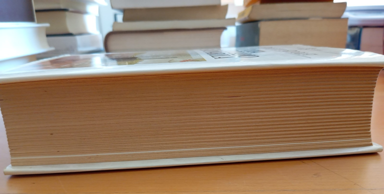 Vita di Girolamo Savonarola, Roberto Ridolfi, Sansoni 1981 | Immagine Gallery 4