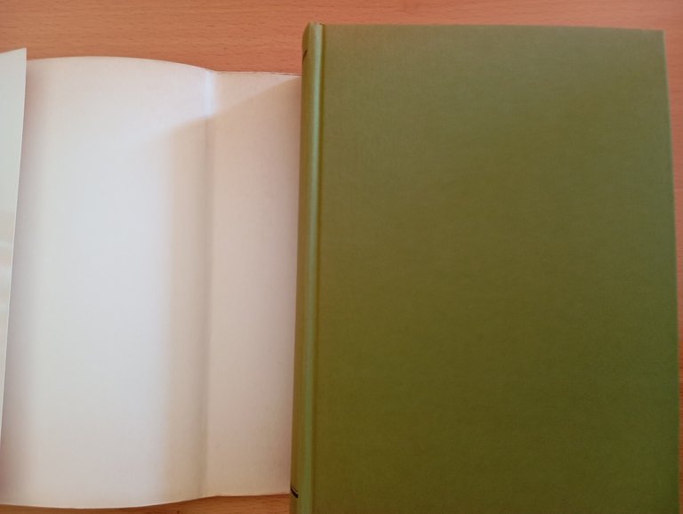 Vita di Girolamo Savonarola, Roberto Ridolfi, Sansoni 1981 | Immagine Gallery 6