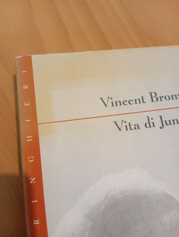 Vita di Jung, Vincent Brome, Bollati Boringhieri, 1994