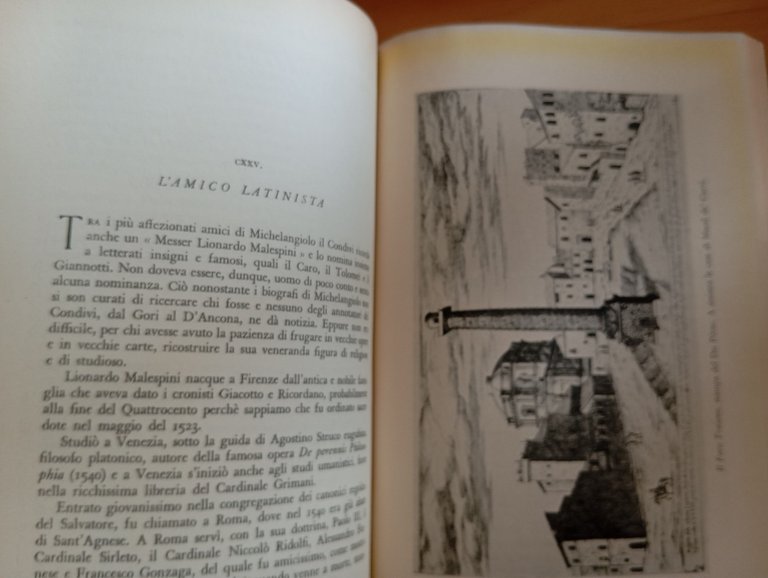 Vita di Michelangiolo nella vita del suo tempo, Giovanni Papini, … | Immagine Gallery 12