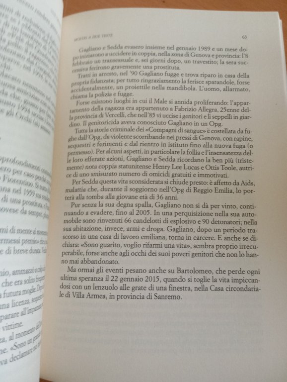 Vite crudeli. Storie di serial killer italiani, Paolo De Pasquali, …