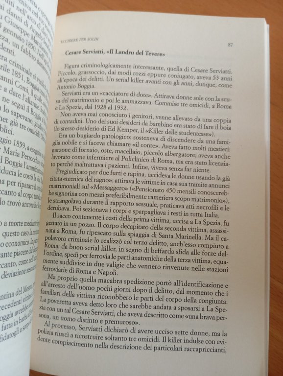 Vite crudeli. Storie di serial killer italiani, Paolo De Pasquali, …