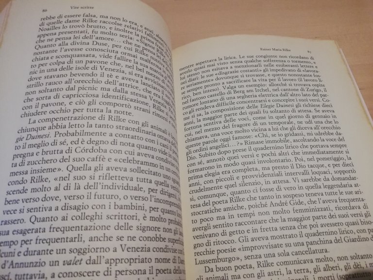 Vite scritte, Javier Marias, Einaudi, 2004