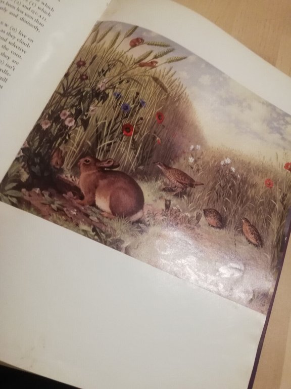 Wild Life, J. Leigh-Pemberton, Geoffrey Grigson, 1959, Phoenix House