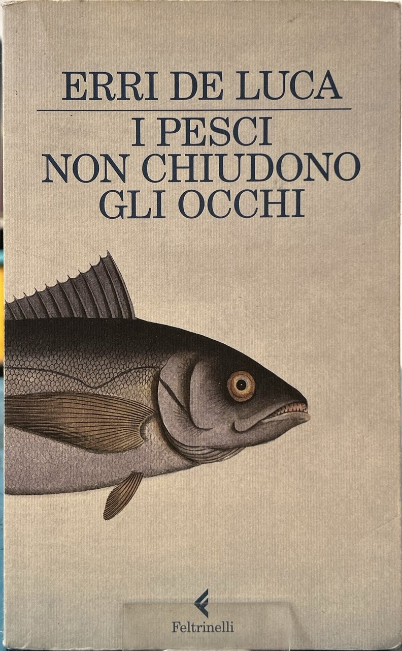 I pesci non chiudono gli occhi