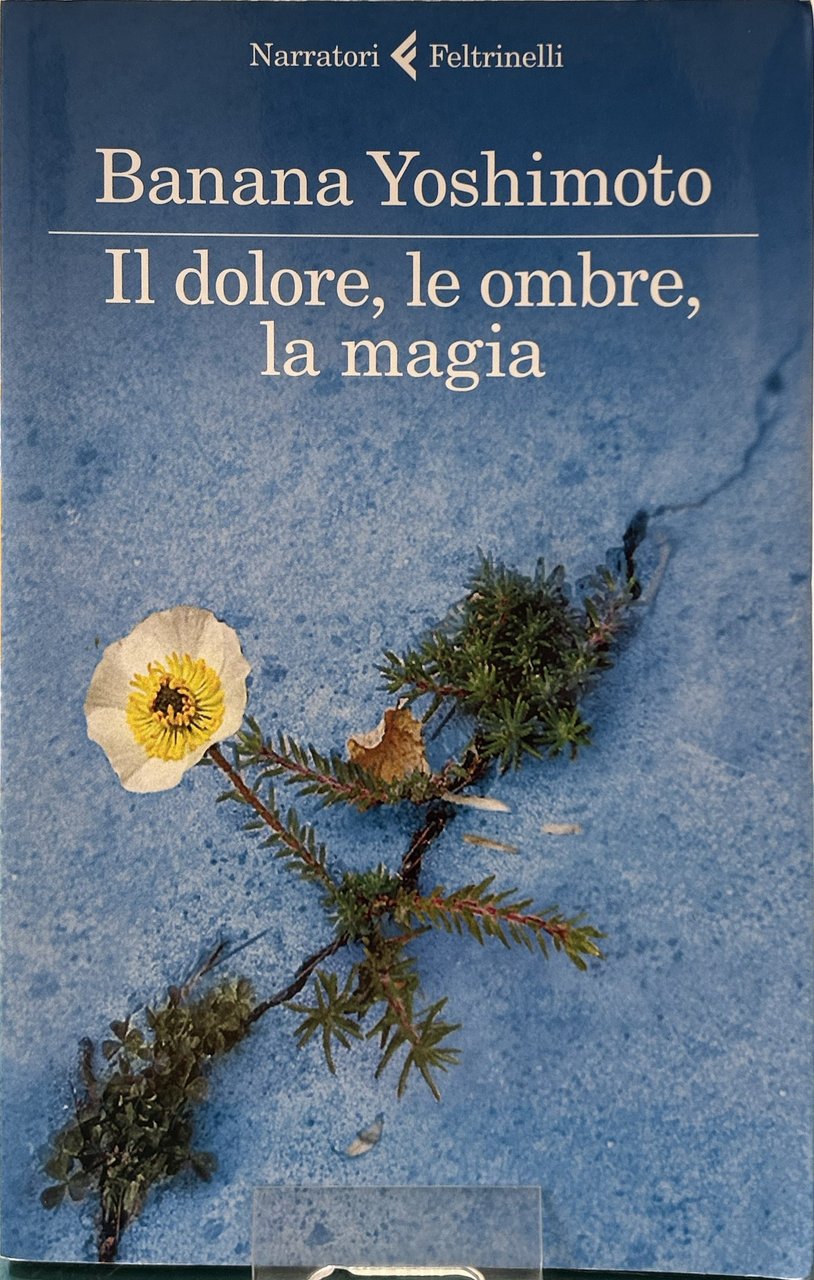 Il dolore, le ombre, la magia. Il Regno 2