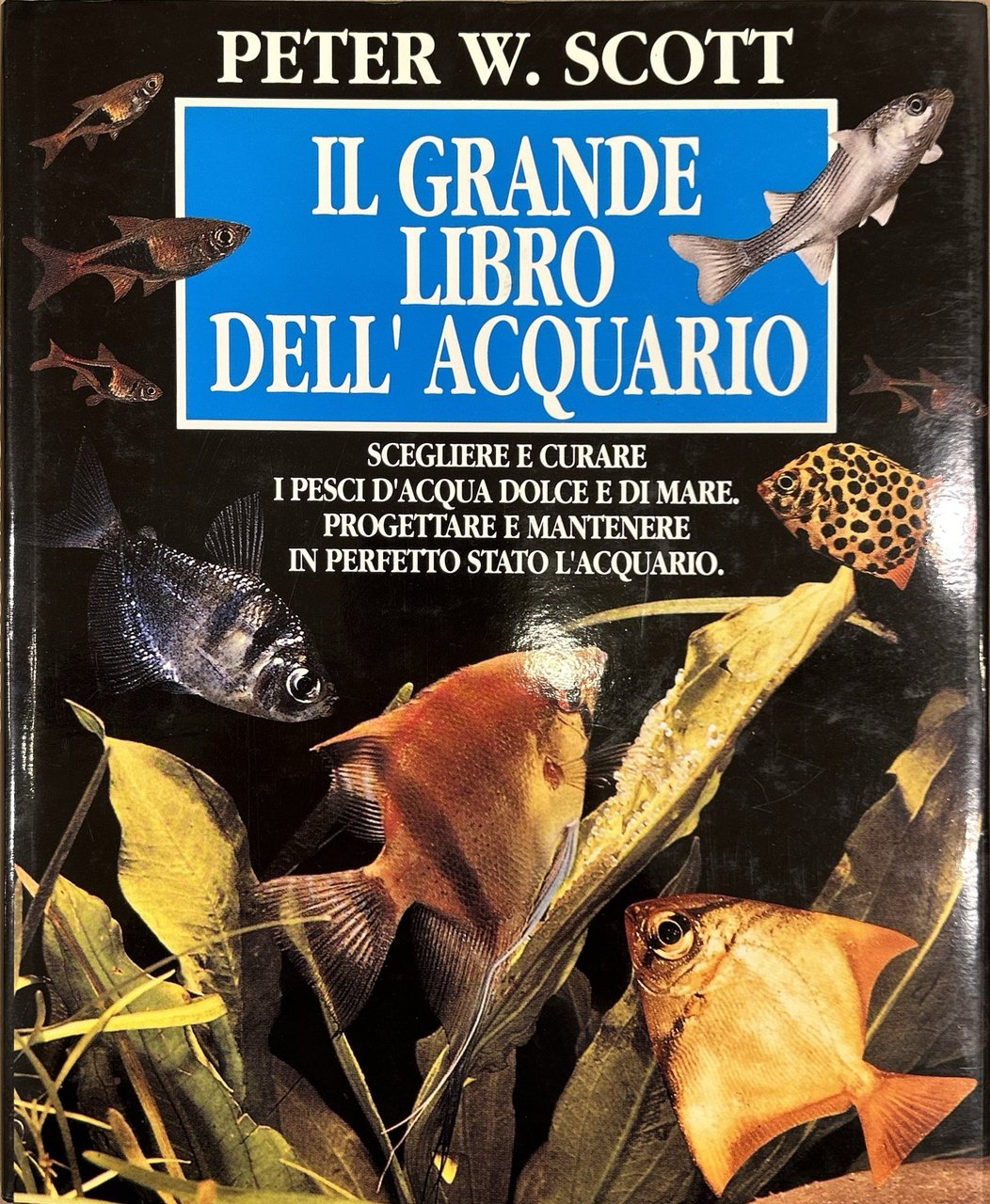Il grande libro dell'acquario. Scegliere e curare i pesci d'acqua …