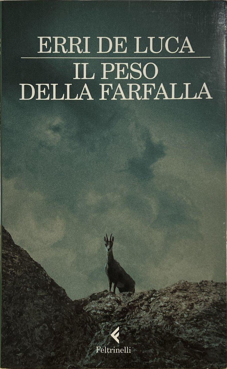 Il peso della farfalla | Immagine principale