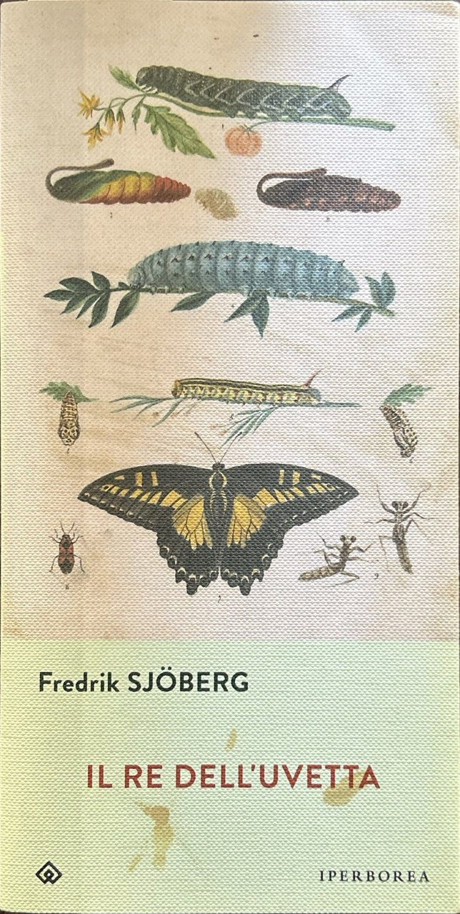 Il re dell'uvetta | Immagine principale