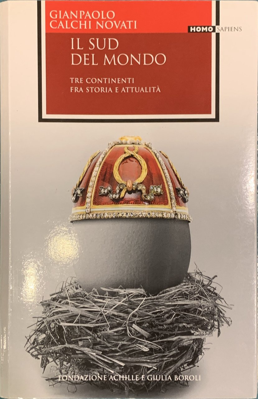 Il Sud del mondo. Tre continenti fra storia e attualità