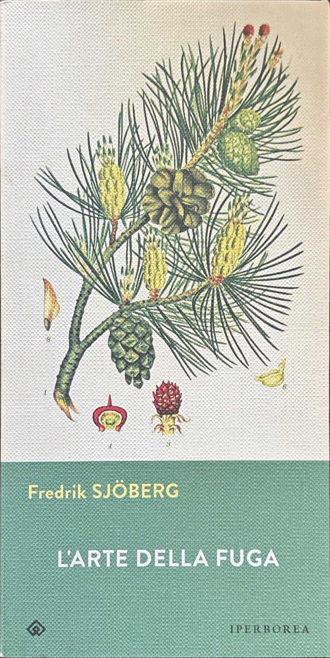 L'arte della fuga | Immagine principale