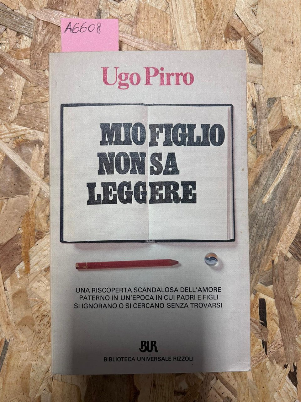 Mio figlio non sa leggere | Immagine principale