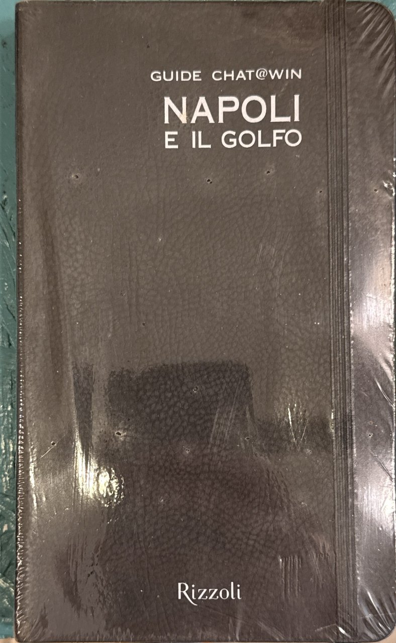 Napoli e il golfo. Guide Chat@win. Con cartina