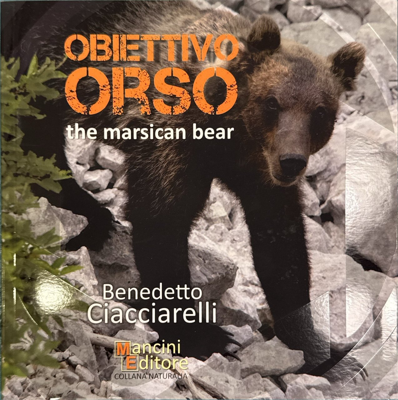 Obiettivo orso | Immagine principale