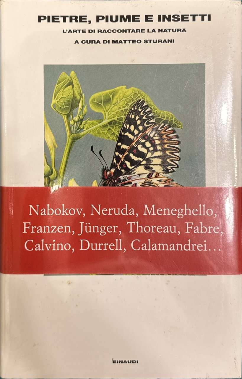 Pietre, piume e insetti: l'arte di raccontare la natura