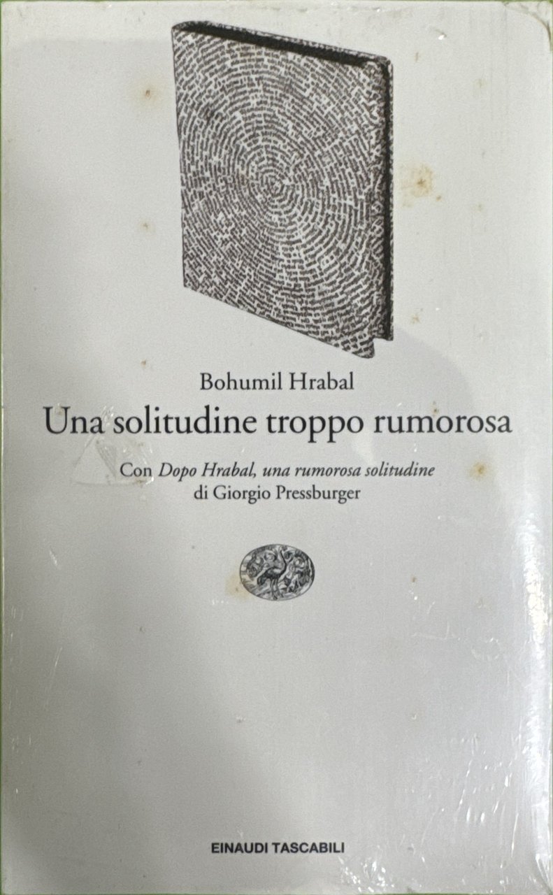 Una solitudine troppo rumorosa