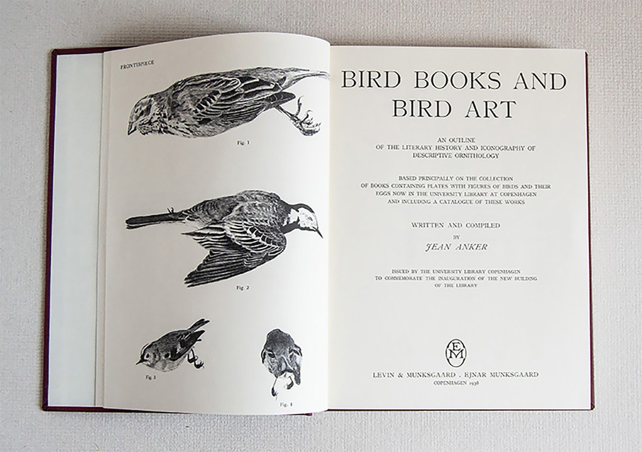 Bird Books and Bird Art An outline of the liberary …