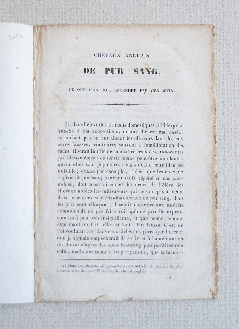 Chevaux Anglais de pur sang, ce que l'on doit entendre …
