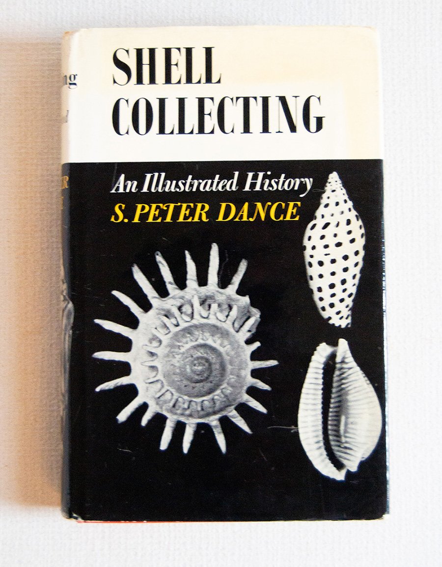 Shell Collecting An Illustrated History