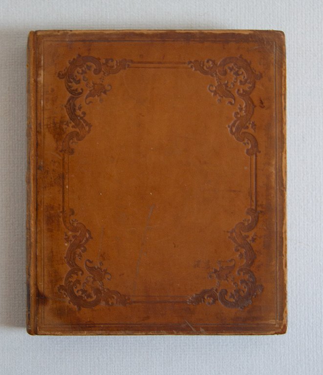 Thesaurus Literaturae Botanicae Omnium Gentium inde a rerum botanicorum initiis … | Immagine Gallery 1