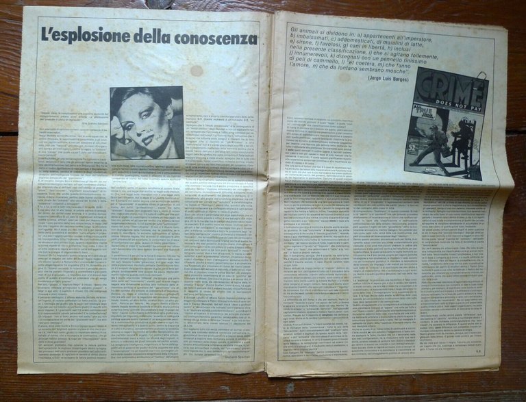 7 SETTE APRILE 2/3 giugno 1979[storia autonomia,movimento,Piperno,Scalzone,Bifo