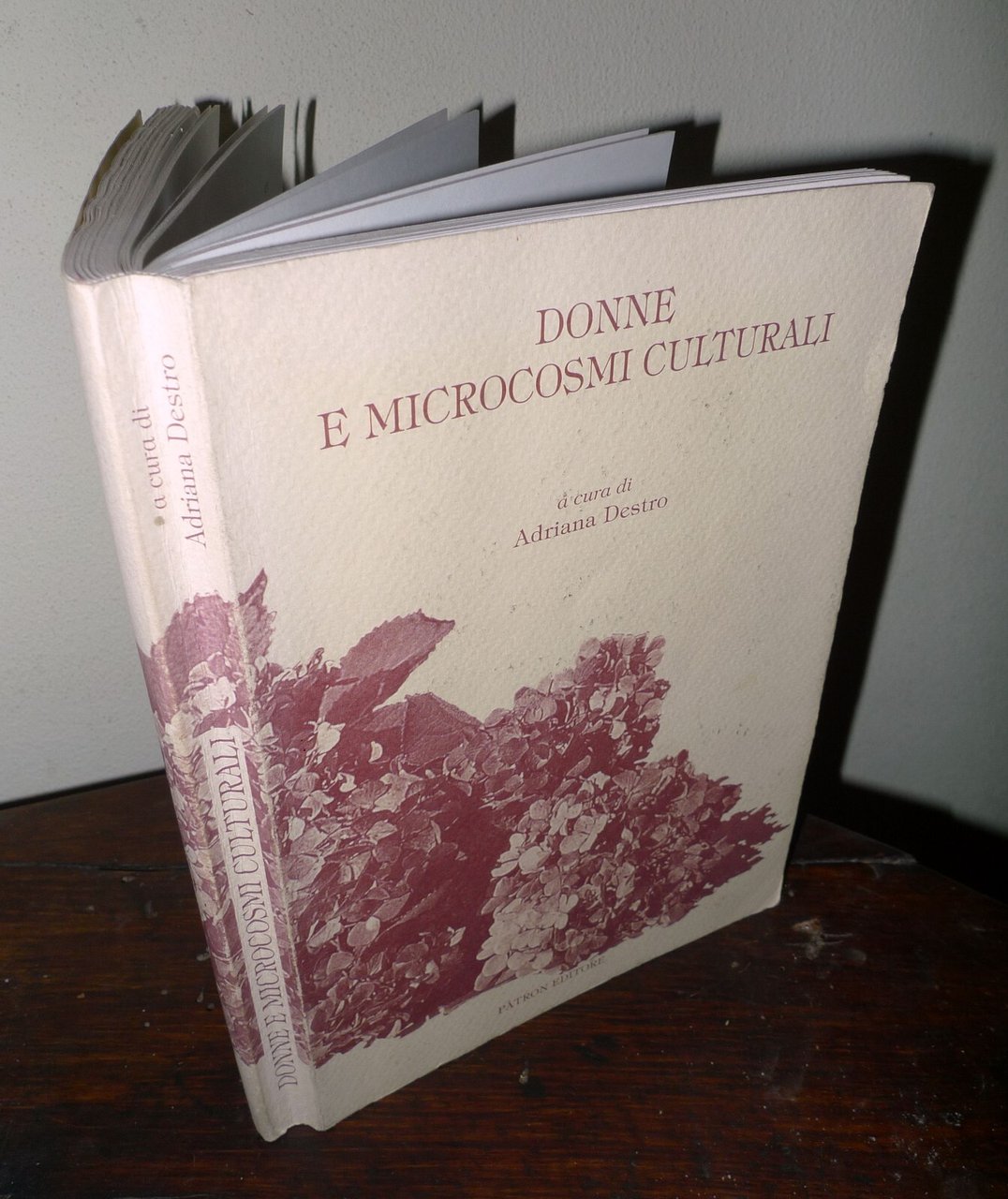 Adriana Destro,DONNE E MICROCOSMI CULTURALI,1997 Patron[antropologia