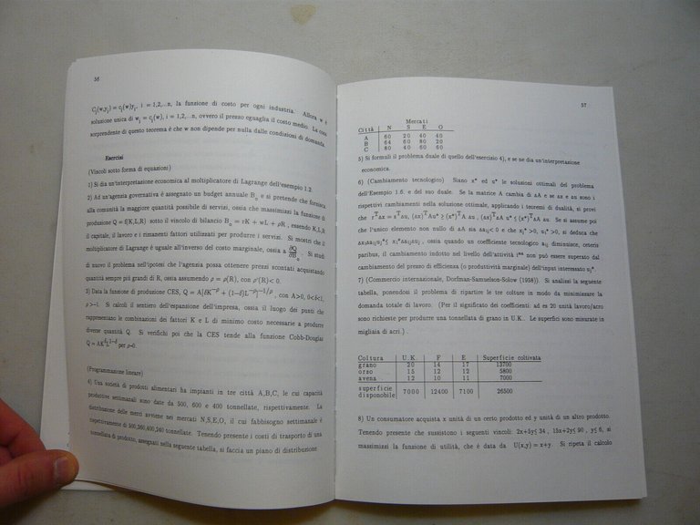 Agliardi-Agliardi,MATEMATICA PER LA TEORIA ECONOMICA,Bologna,1998
