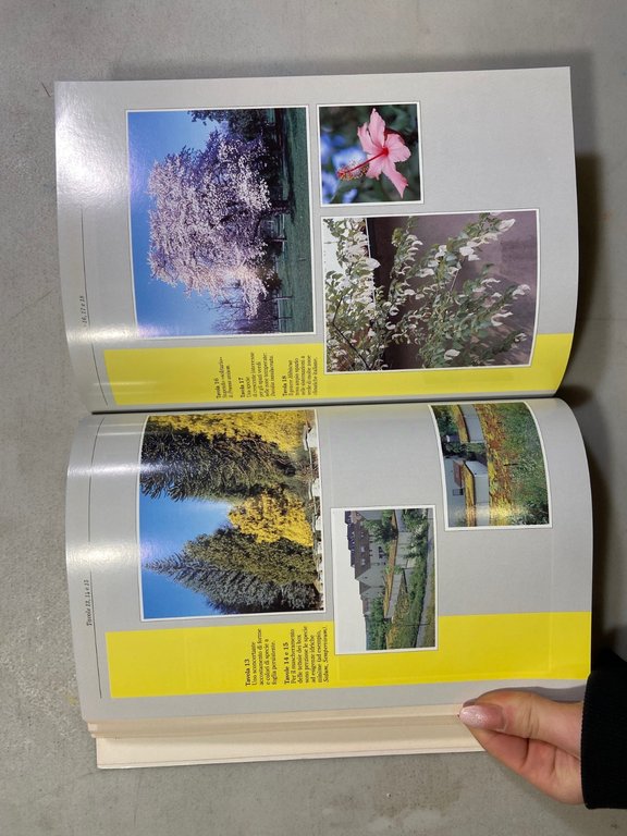 Agostoni,Marinoni,MANUALE DI GESTIONE DI SPAZI VERDI, Zanichelli 1993