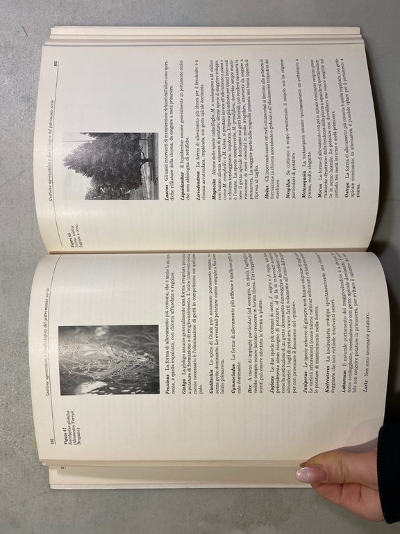 Agostoni,Marinoni,MANUALE DI GESTIONE DI SPAZI VERDI, Zanichelli 1993