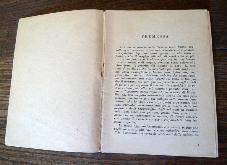 Aldo Neri,22 MESI.Cronistoria del riscatto italiano[nazismo,fascismo,resistenza