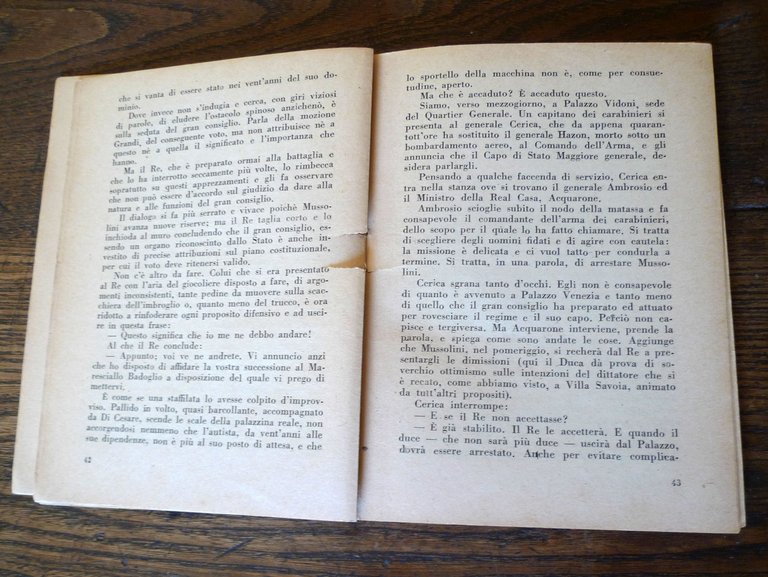 Aldo Neri,22 MESI.Cronistoria del riscatto italiano[nazismo,fascismo,resistenza