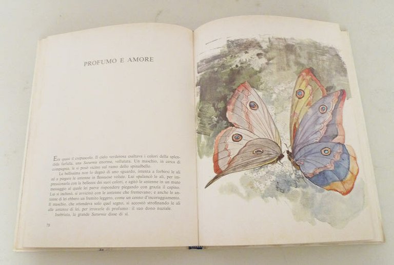 Aliverti,L'AMORE NEGLI ANIMALI,1976 Giunti[per ragazzi,illustrazioni Saviozzi