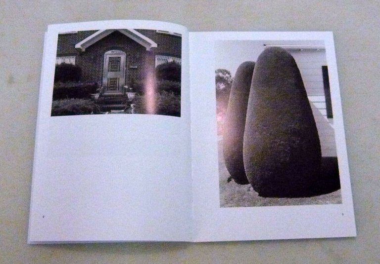 AMERICAN DREAM.Catalogo della mostra,2017 Rolla[arte contemporanea,fotografia