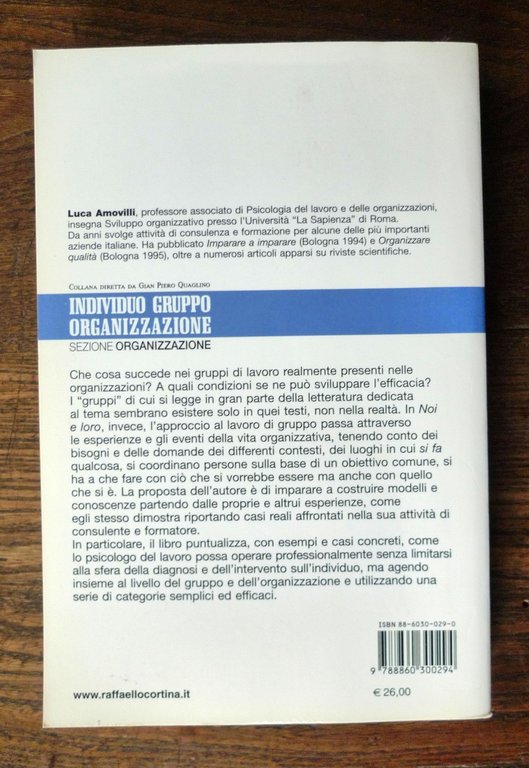 Amovilli,NOI E LORO.GRUPPI DI LAVORO NELLE ORGANIZZAZIONI,2006[psicologia