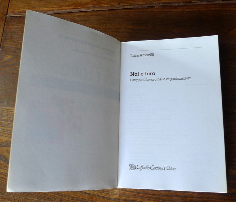 Amovilli,NOI E LORO.GRUPPI DI LAVORO NELLE ORGANIZZAZIONI,2006[psicologia